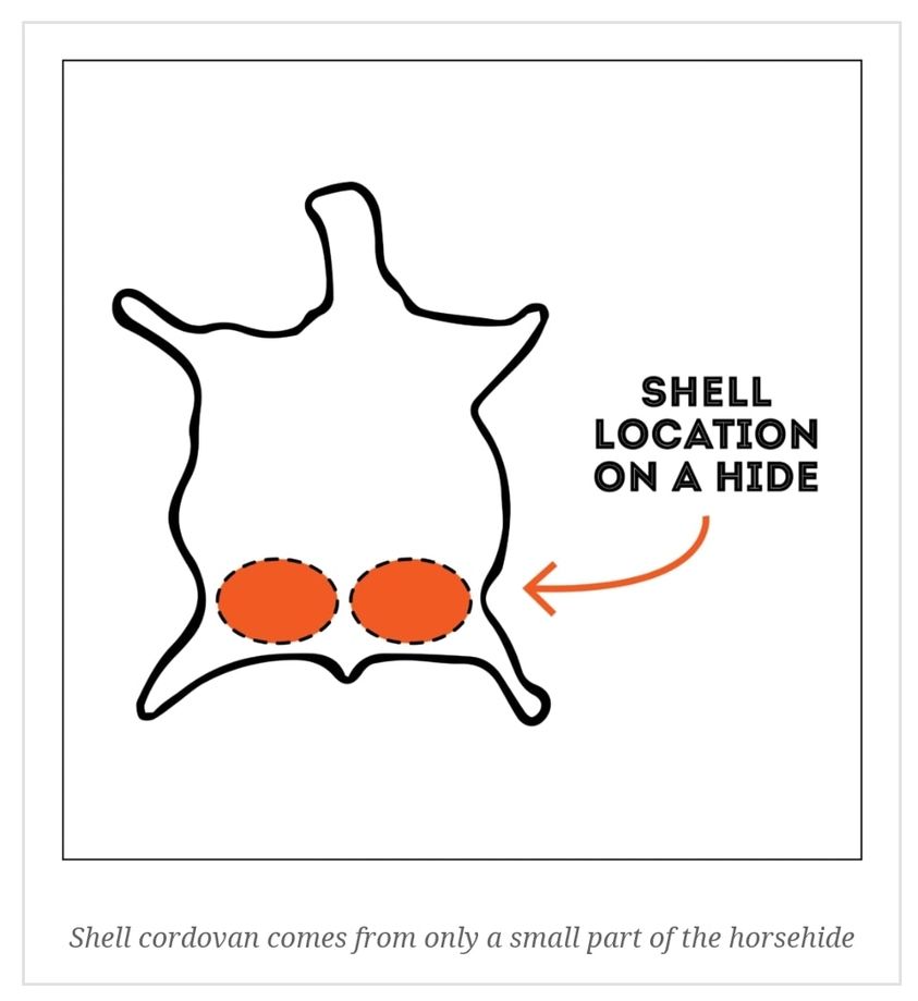 Piele Shell Cordovan - Zona din pielea animalului